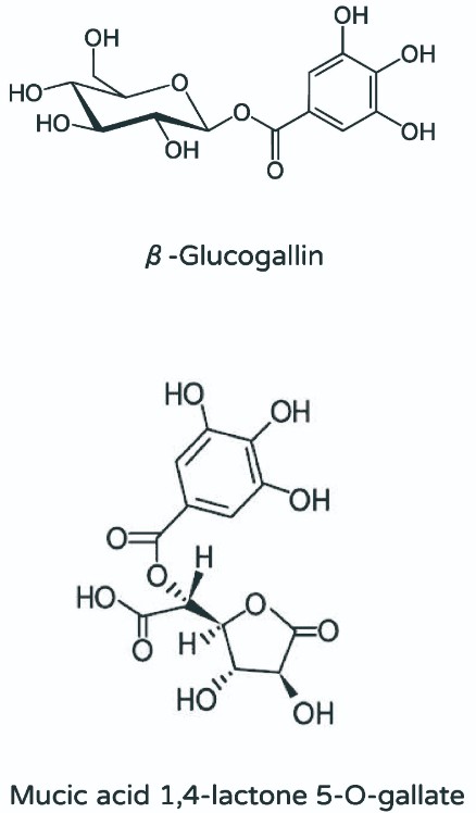 和聚余甘子saberry活性成分β-Glucogallin