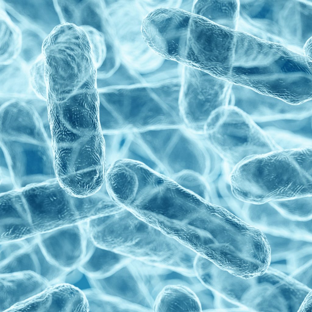 Enterobacteriaceae, gram-negative rod-shaped bacteria, part of intestinal microbiome and causative agents of different infections, 3D rendering. Escherichia coli, Klebsiella, Enterobacter and other